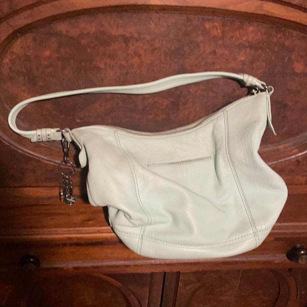 The Sak purse
